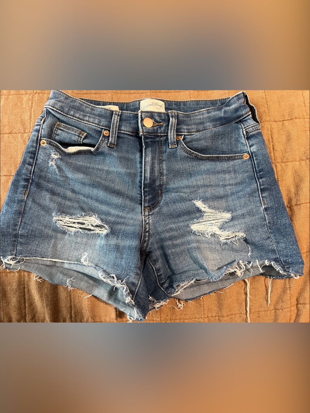 Universal Thread Distressed Blue Denim Shorts
